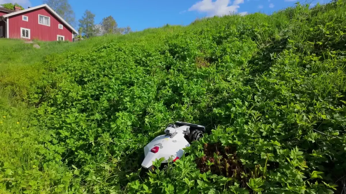 Robotska kosilica Mammotion LUBA 2 AWD 5000X, srodna izvedba, uz gusto raslinje